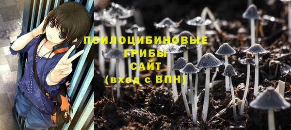 бошки Абаза