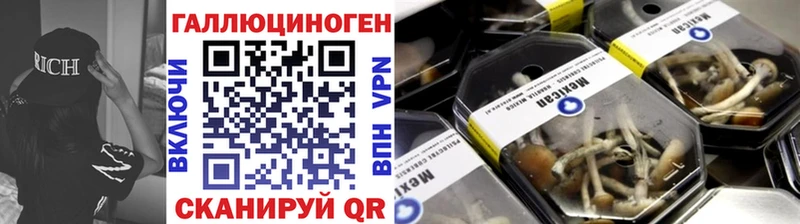 mega вход  Ялуторовск  Псилоцибиновые грибы мухоморы 
